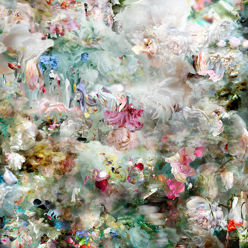 La solitude de Narcisse 13